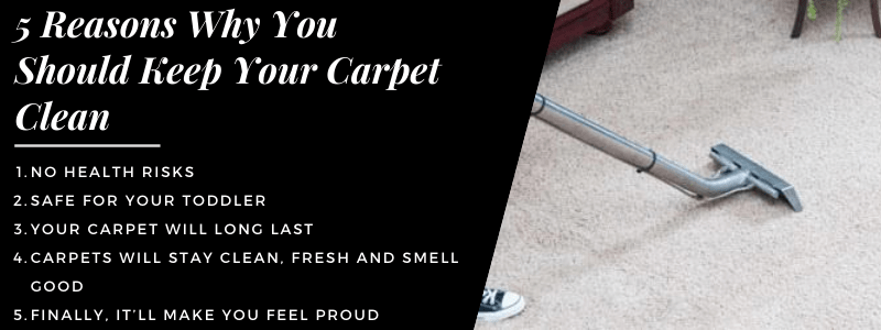  Best Carpet Cleaning Service