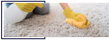 Carpet Odour Removal Service