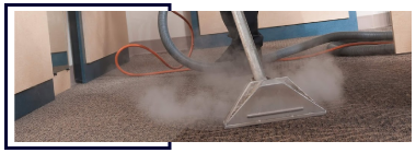 Carpet Steam Cleaning Service