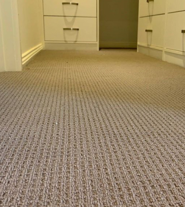 Carpet Cleaning Ipswich Services