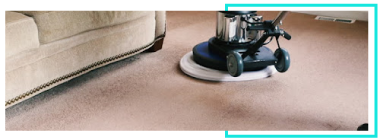 Germ-free Carpet Service