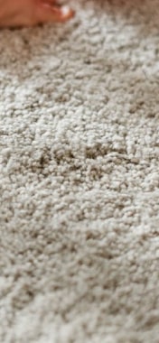 odour removal from carpet ipswich