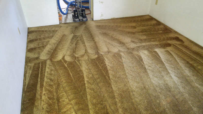 dry carpet cleaning